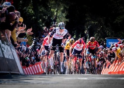Flèche Wallonne : 3 packs "sponsoring" proposés aux commerces/entreprises