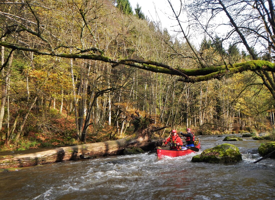dscn9280 1 orig