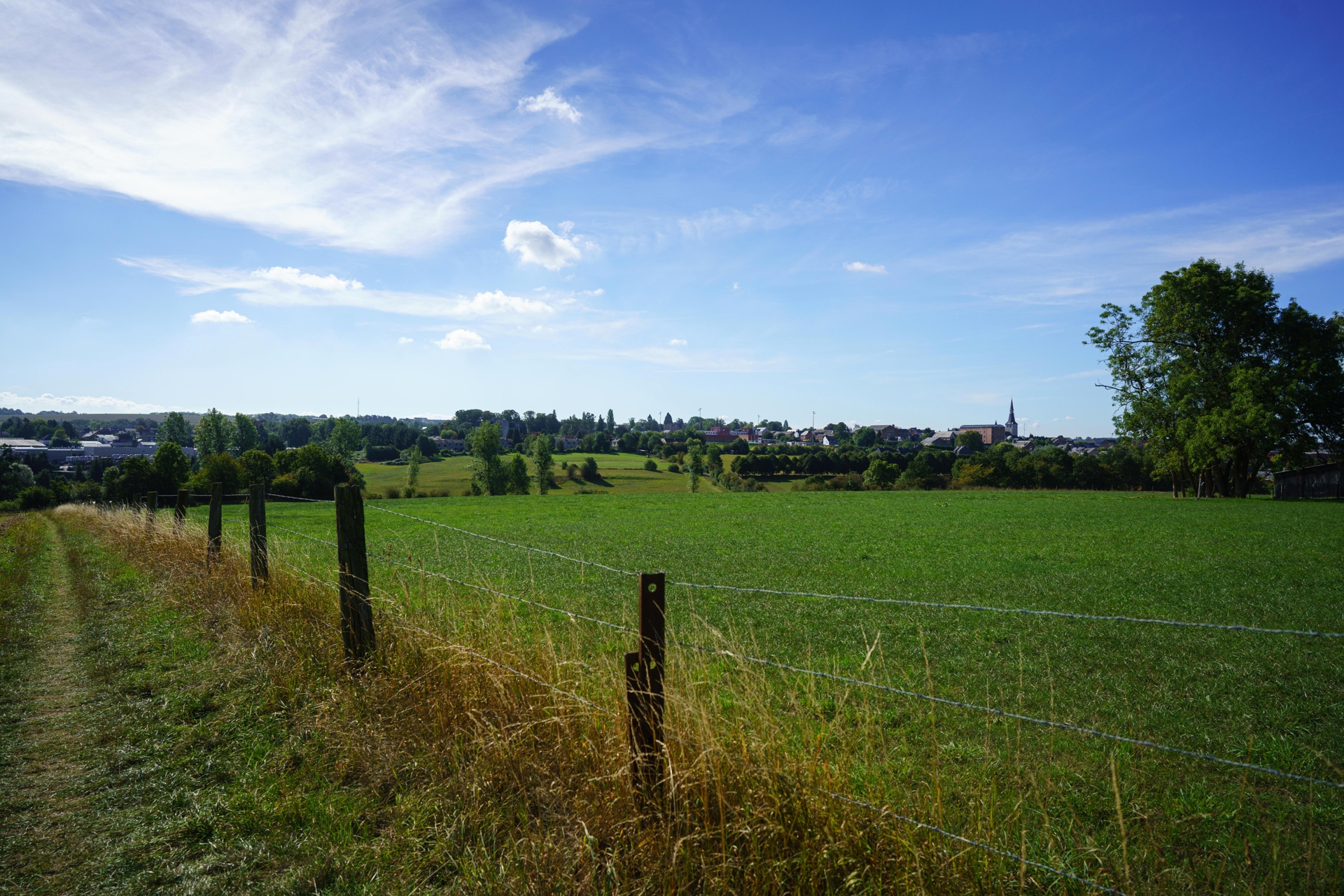 CINEY 07092020 033
