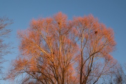  DSCF3803 