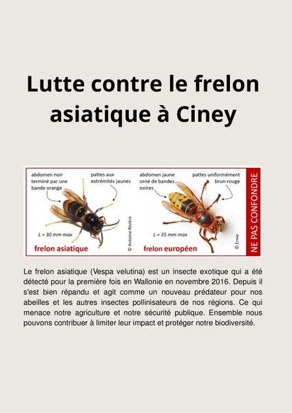 Lutte contre le frelon asiatique à Ciney (6) page 0001